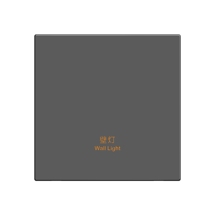 Stainless steel intelligent switch