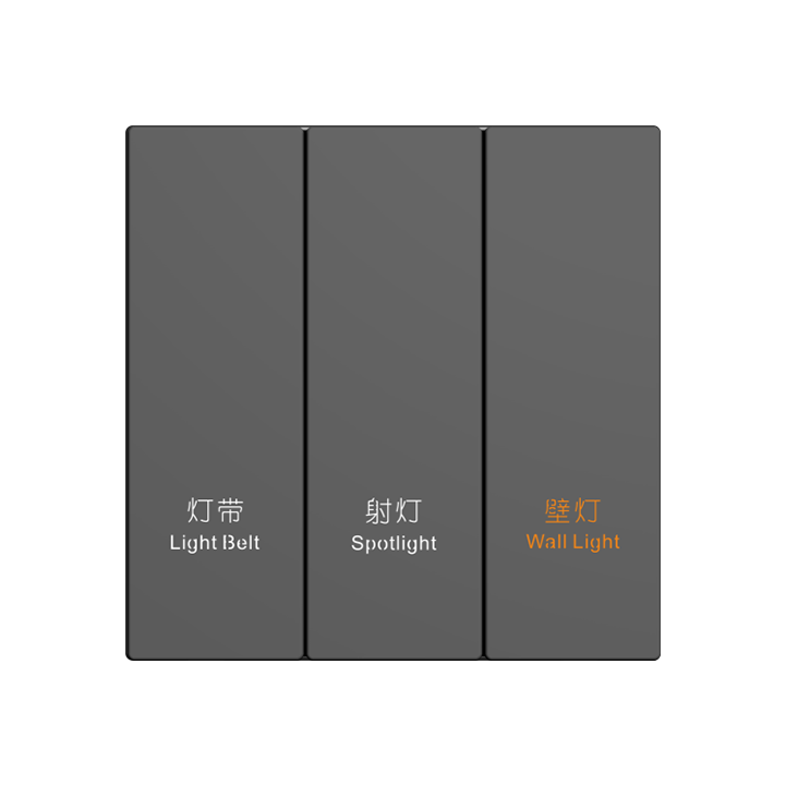 Stainless steel intelligent switch