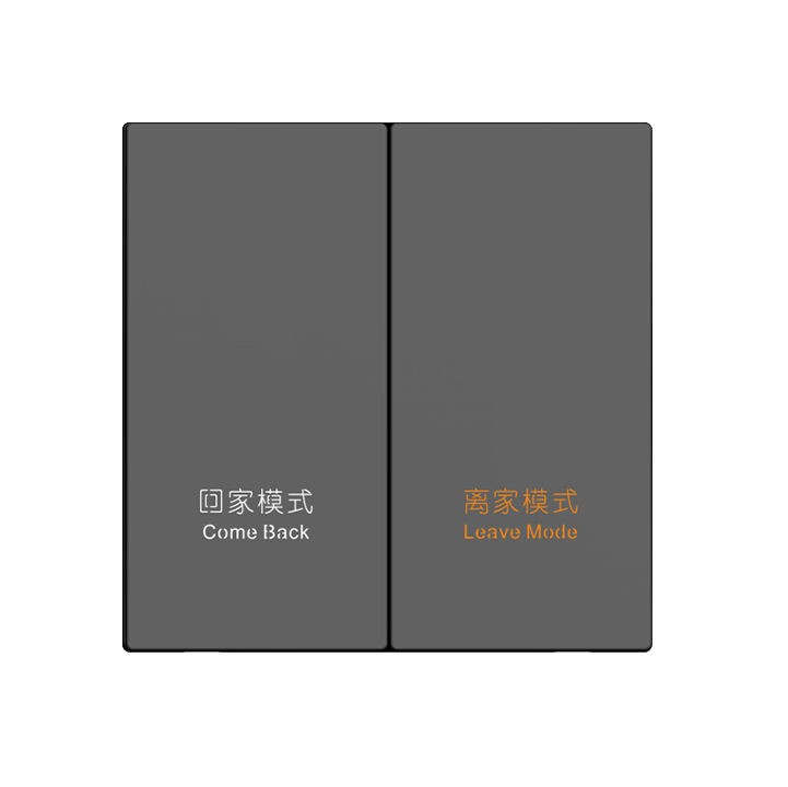 Stainless steel intelligent switch