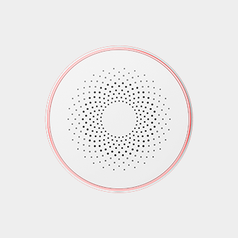 Wireless sound and light alarm