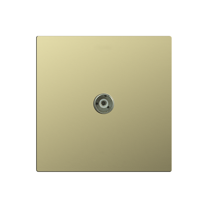 Single TV signal socket