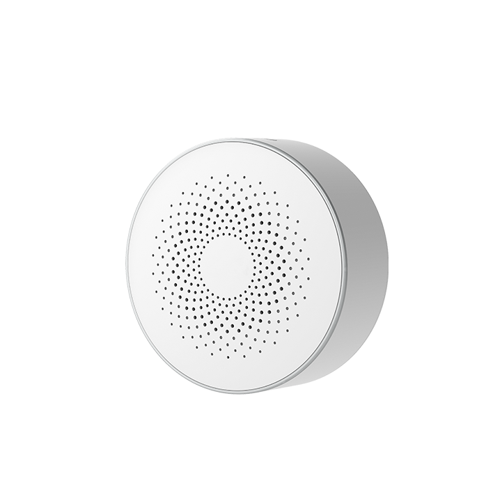 Wireless sound and light alarm